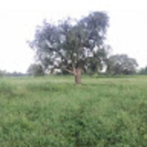 Meet your Posher, Bintou